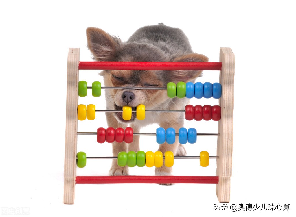 我国古代数学算术总结,珠算是以什么为工具进行数字计算