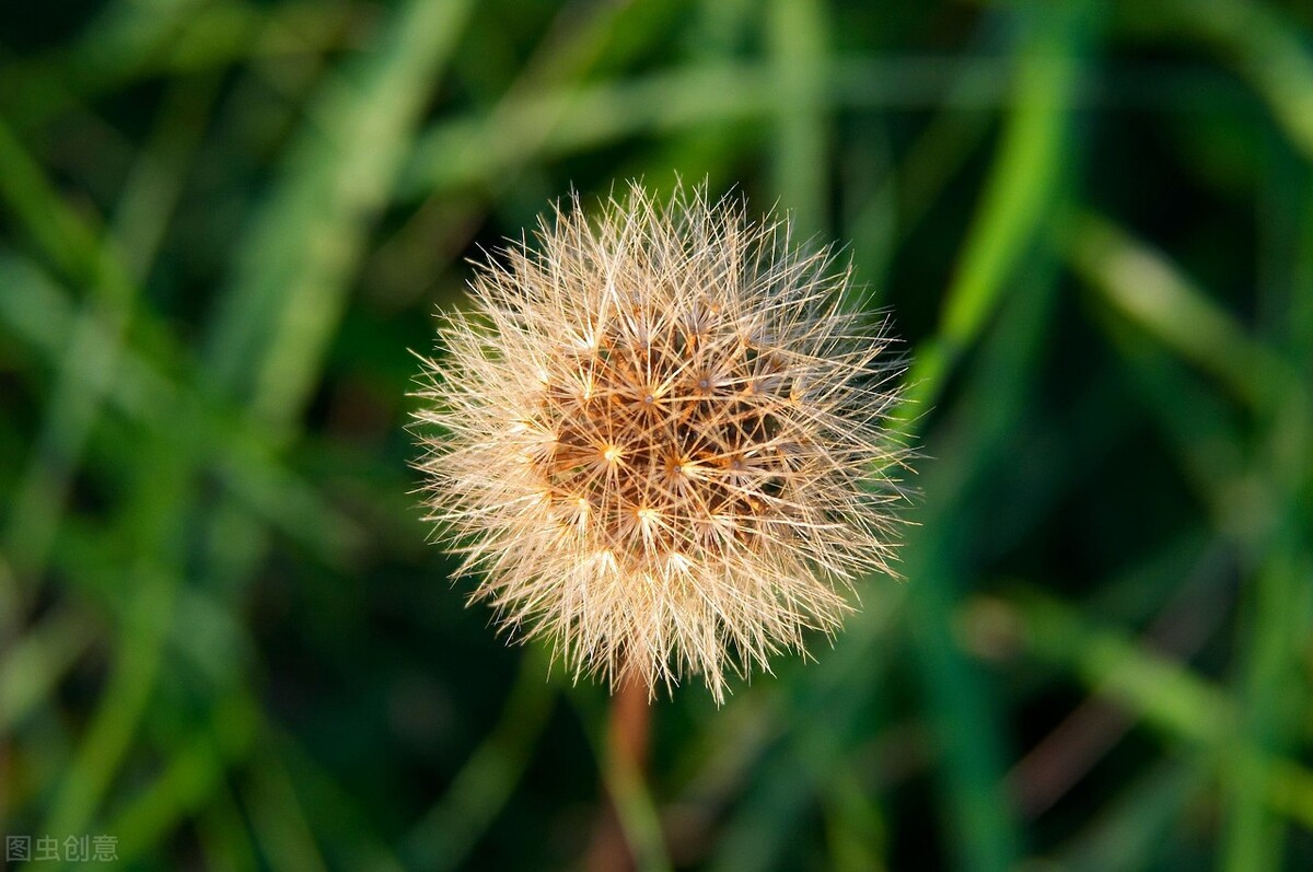 门不当户不对的婚姻，只能眼睁睁看着老公吃喝嫖赌而没有办法