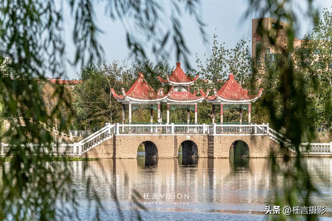 天津二宫关闭了么,天津二宫公园现在开放了吗