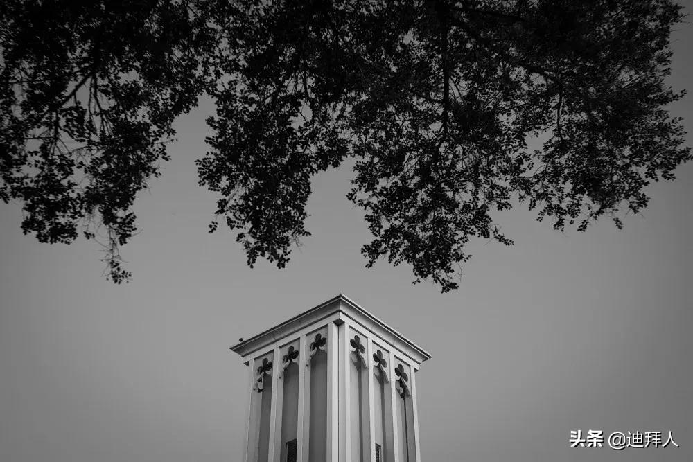 沙特人是迪拜人吗,沙特人是白人还是黄人