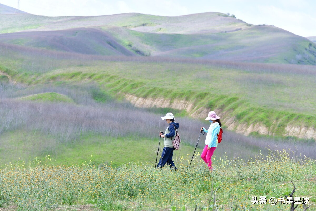 清明节由来和习俗视频资料,清明节的来历和习俗的思维导图
