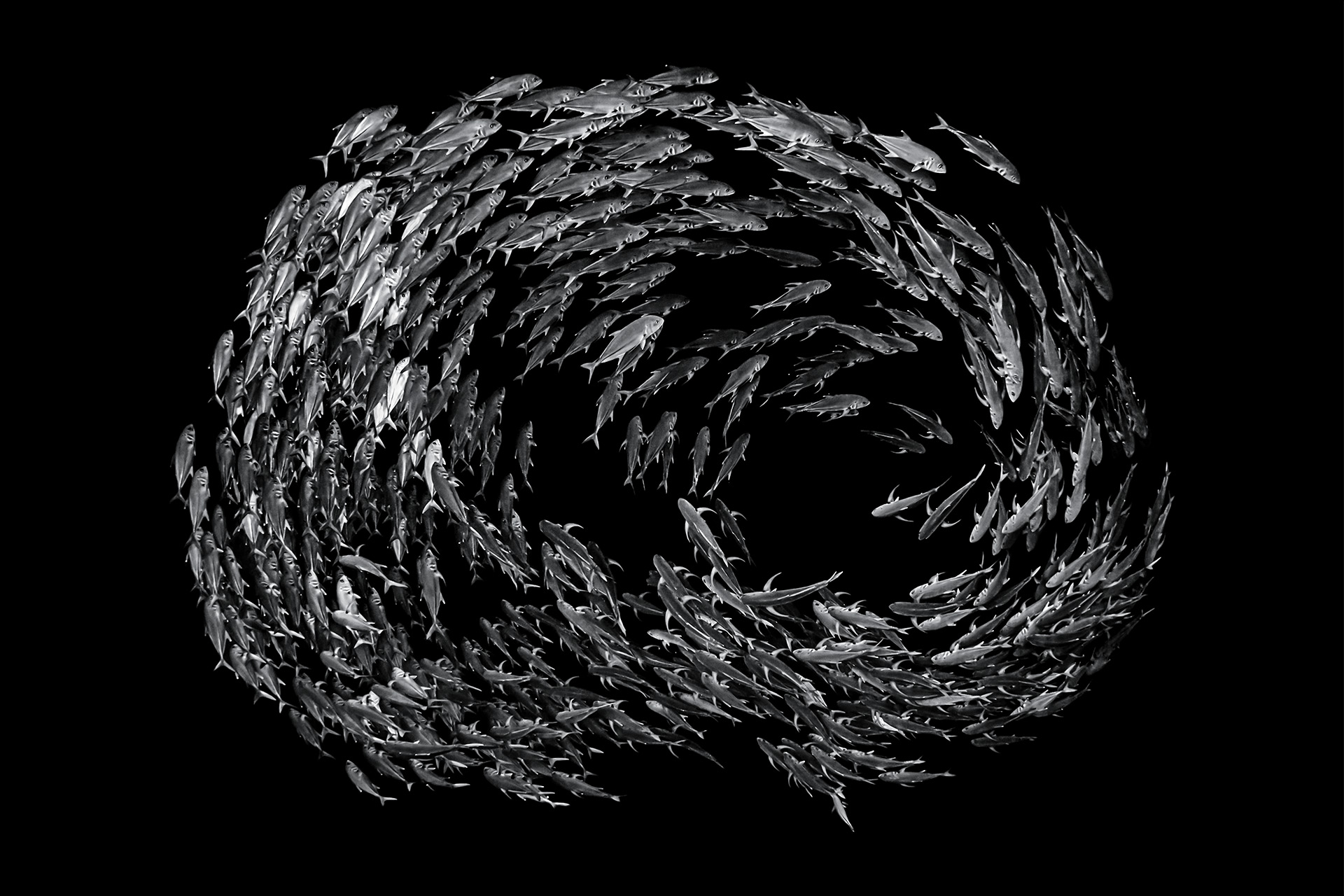 自然就是美,自然就是美歌曲