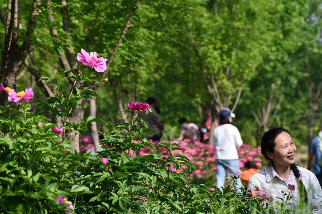 许昌人周末游玩,许昌人去哪景区免门票