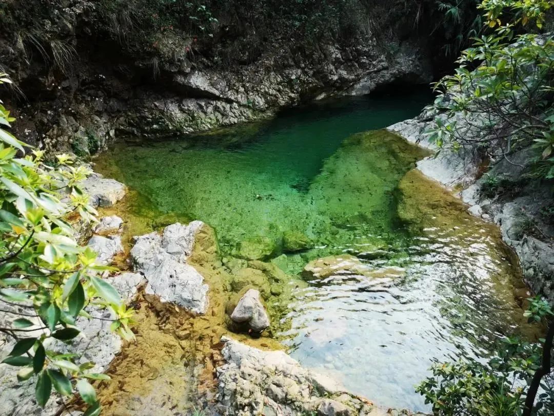 从广州佛山出发的旅游攻略,广州鹤山市旅游