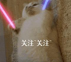 哪些狗狗在禁养名单上,狗狗限养规定