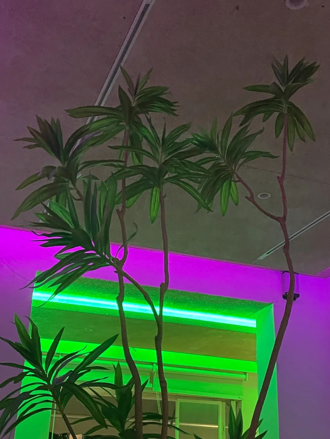 成都人眼中的消费最高的地方,成都在年轻人心目中