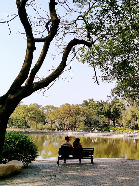 常见的5种性取向有哪些？