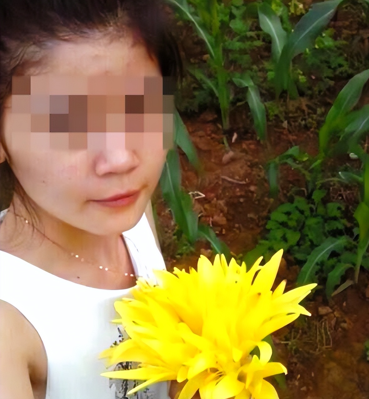 山东小伙被捅19刀凶手是谁,山东小伙被抓原视频