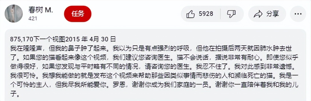 兽医讲解猫生病,聊聊猫咪常见疾病