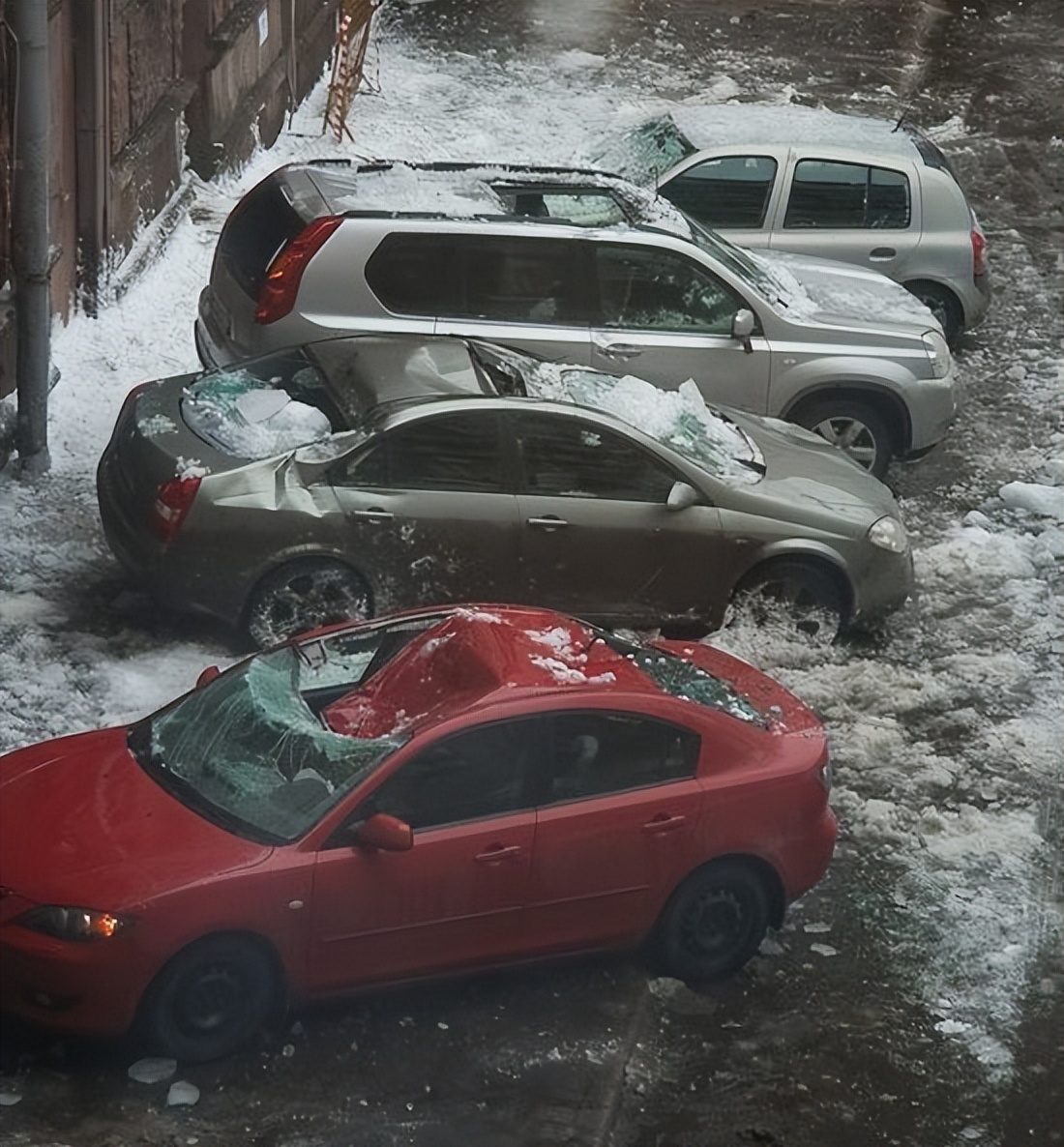 100个难得一见照片,难得一见12张照片