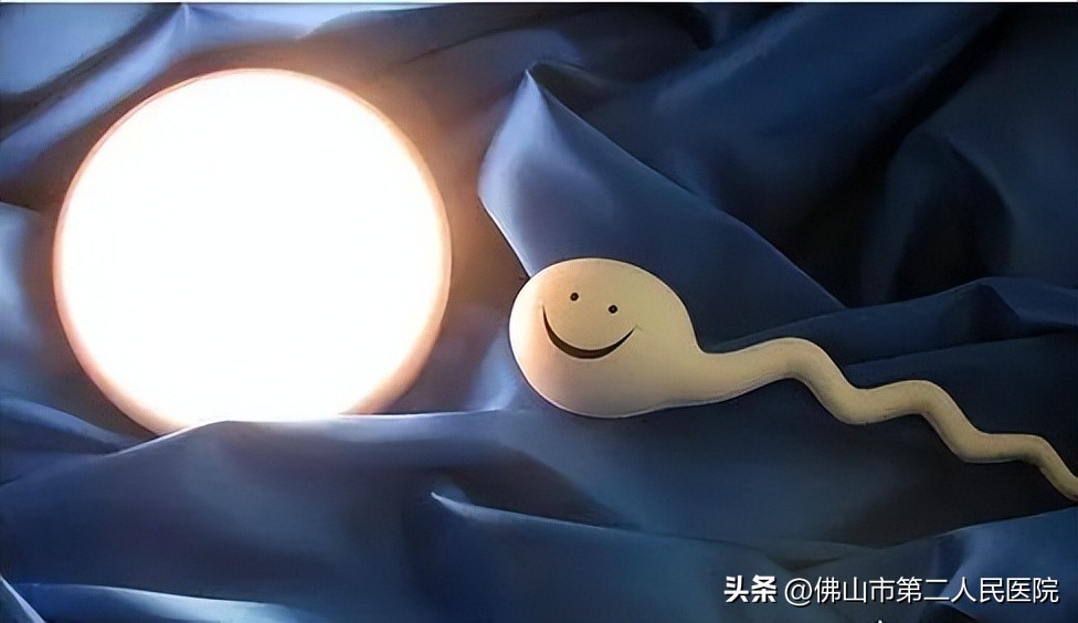 多地倡议“捐精”，但合格率仅20%？专家教你提高精子质量