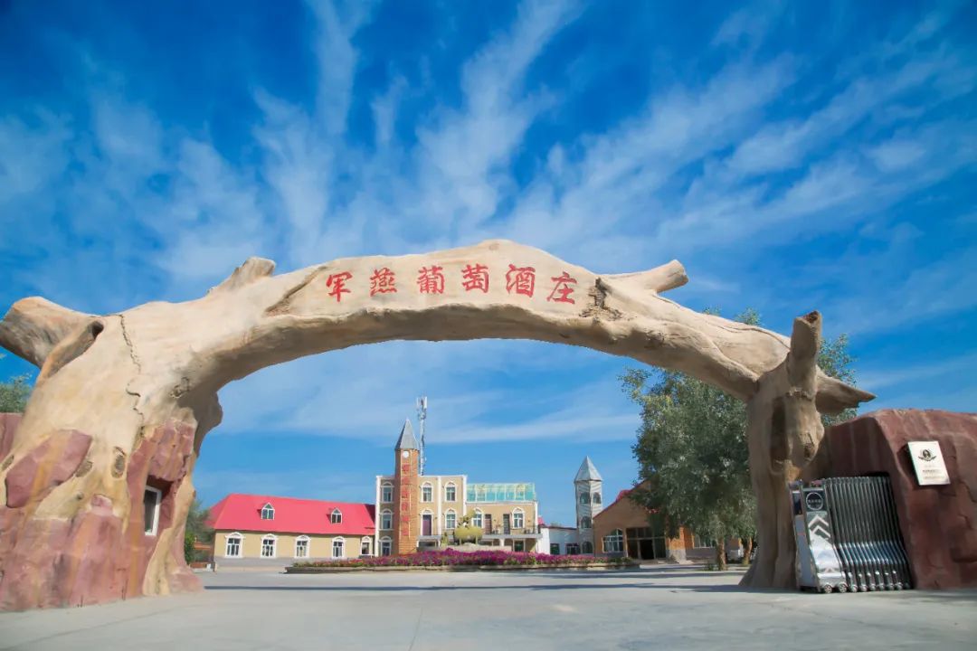 贯彻落实上级党组织工作部署,贯彻落实党委部署方面