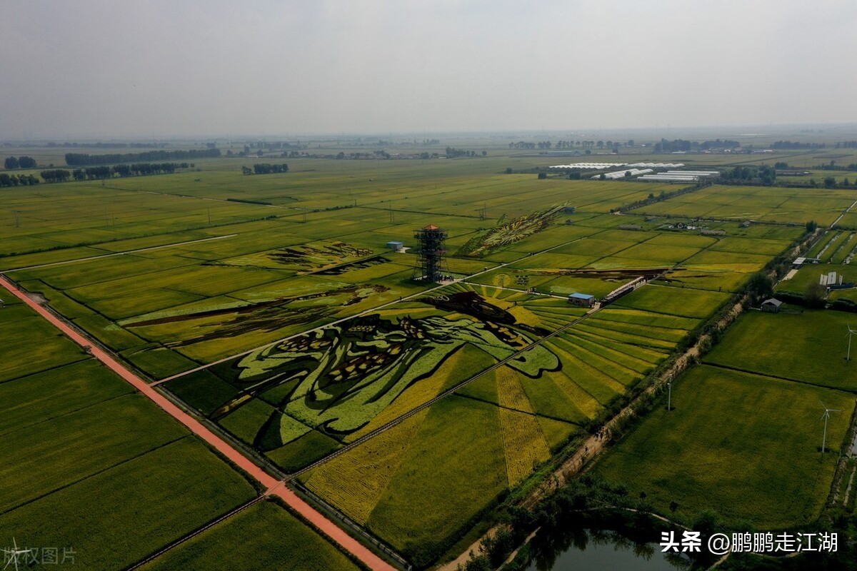 沈阳市旅游线路都有哪些,沈阳游玩哪些景区免费