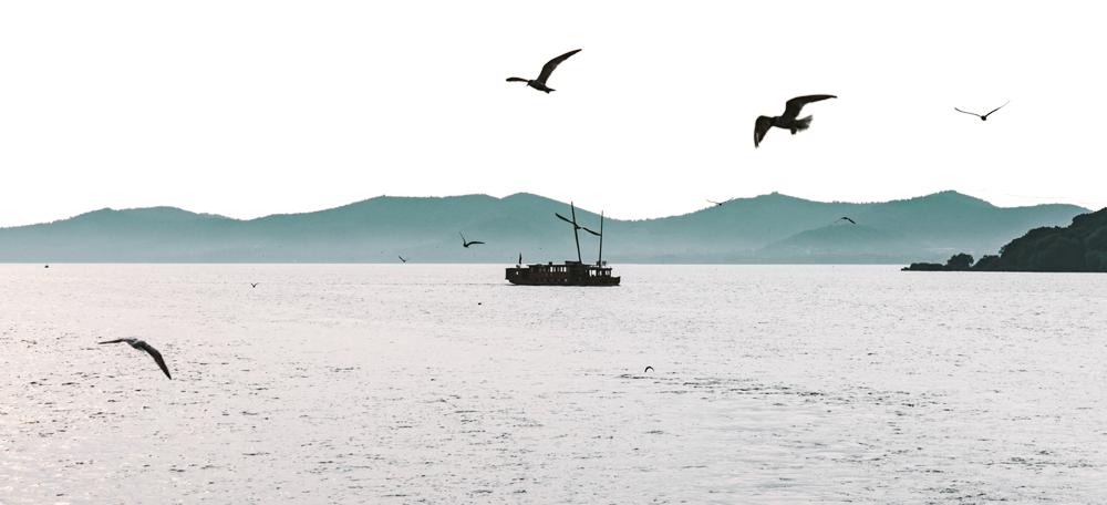 金螳螂禅意新中式设计风格,金螳螂中式宜昌