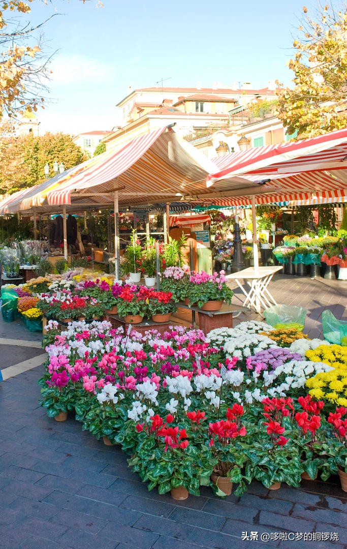 瑞士南法蔚蓝海岸旅游攻略,海岸线的蓝色旅游攻略