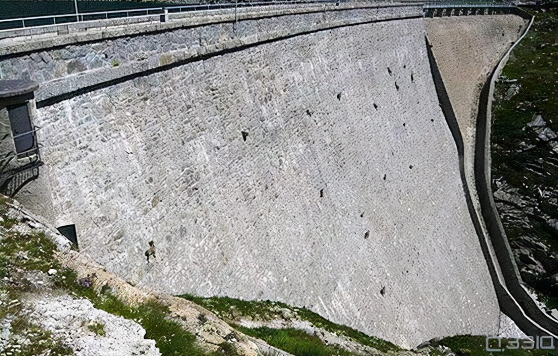 10个万万想不到的动物冷知识,答对5个以上算你厉害