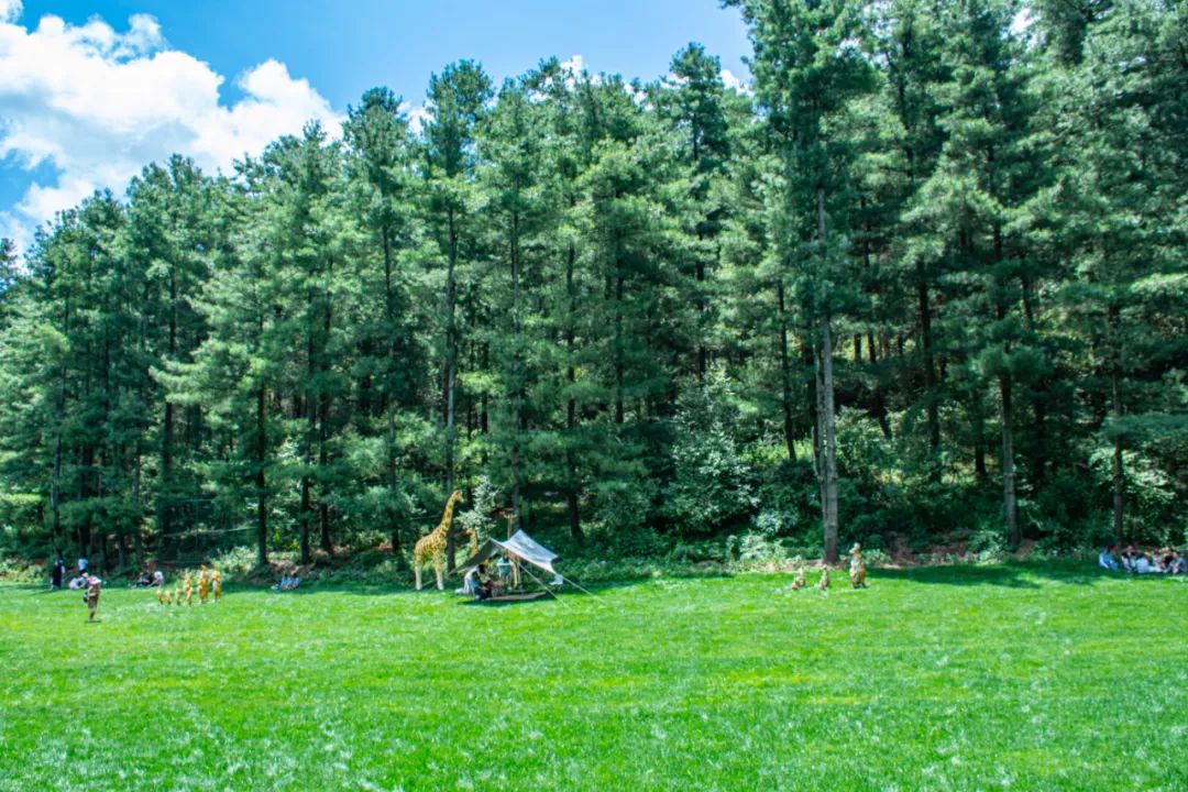 昆明五一露营建议去哪玩,昆明周边郊游露营