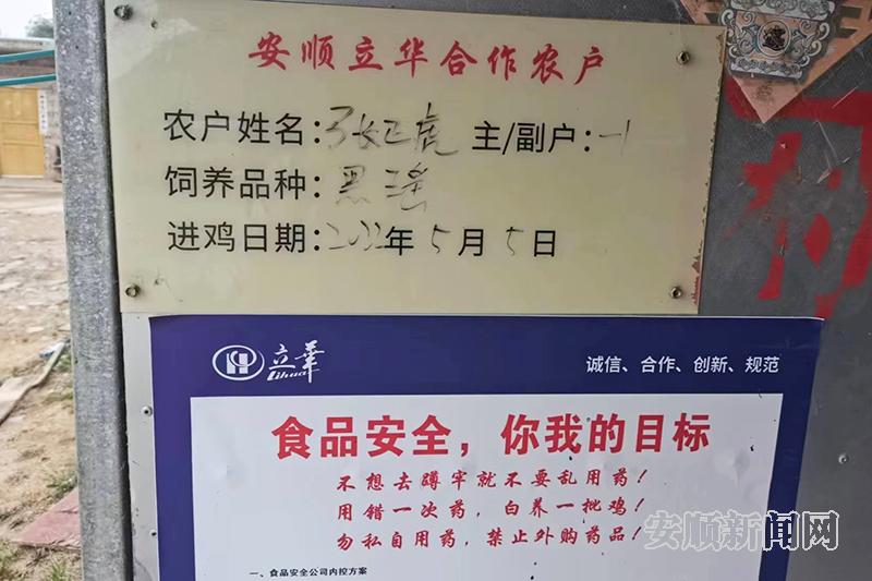 西秀区杨武乡：抓住“鸡”遇助农致富