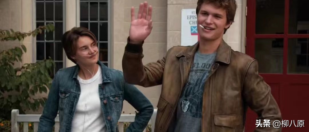 星运里的错美国电影简介,星运里的错电影解析