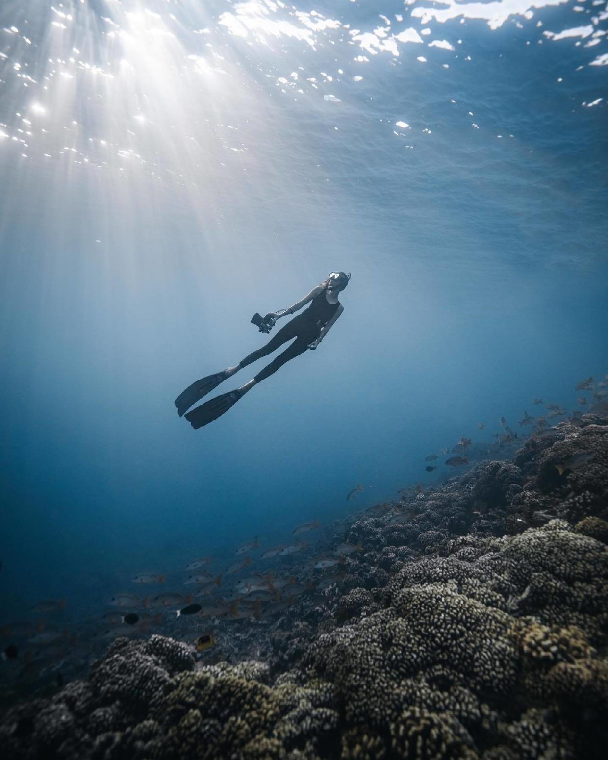 国外美女姐姐海里偶遇一只小鱼，竟引发神奇友谊！网友：前世情人