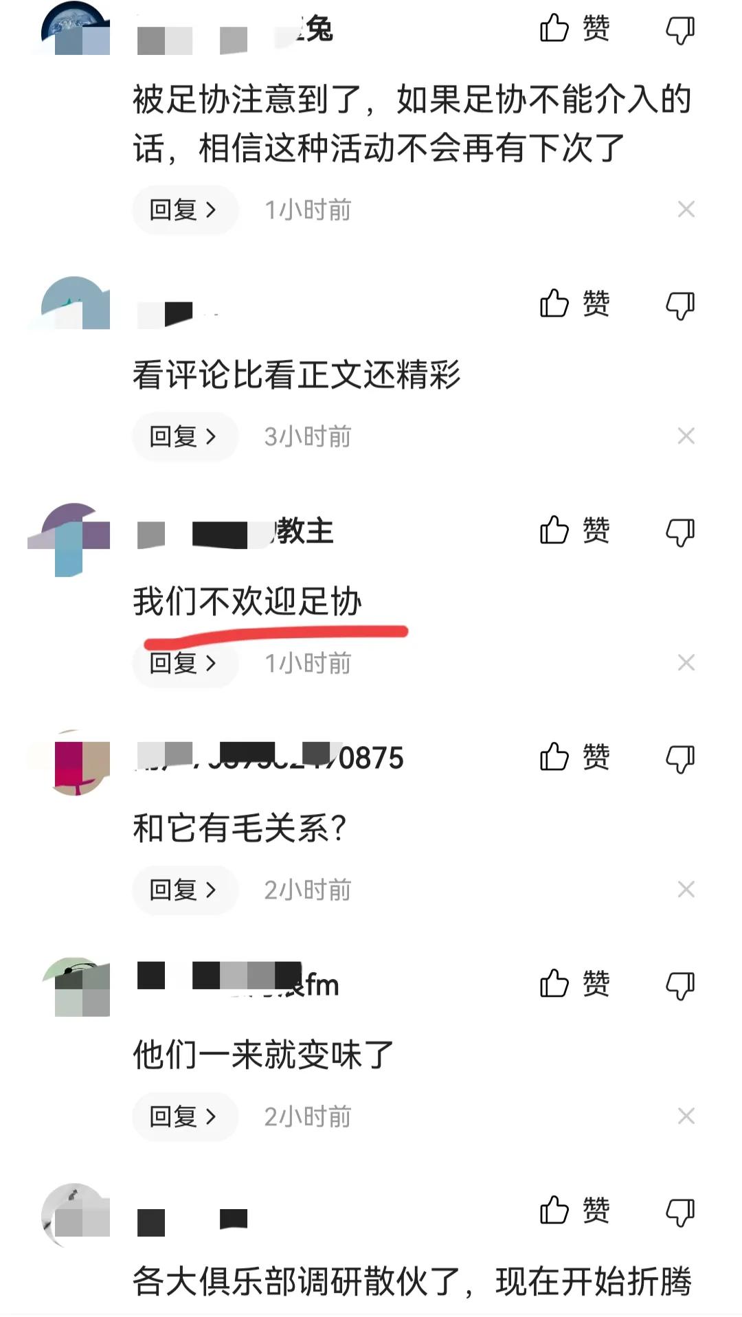 华春莹评村超,华春莹点赞贵州村超