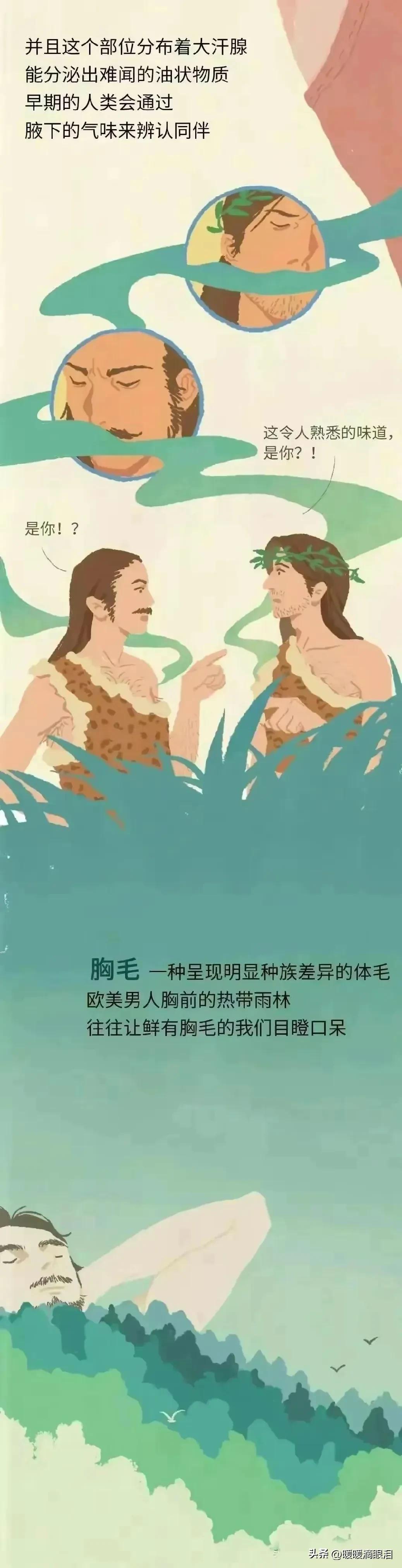 人类的毛发为什么是鳞片状,人类的毛发都是黑色的吗