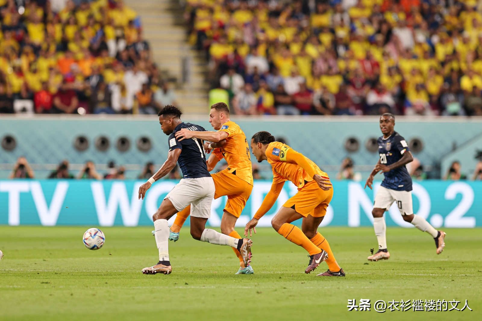荷兰1比1厄瓜多尔卡塔提前出局,2022卡塔尔世界杯厄瓜多尔vs荷兰
