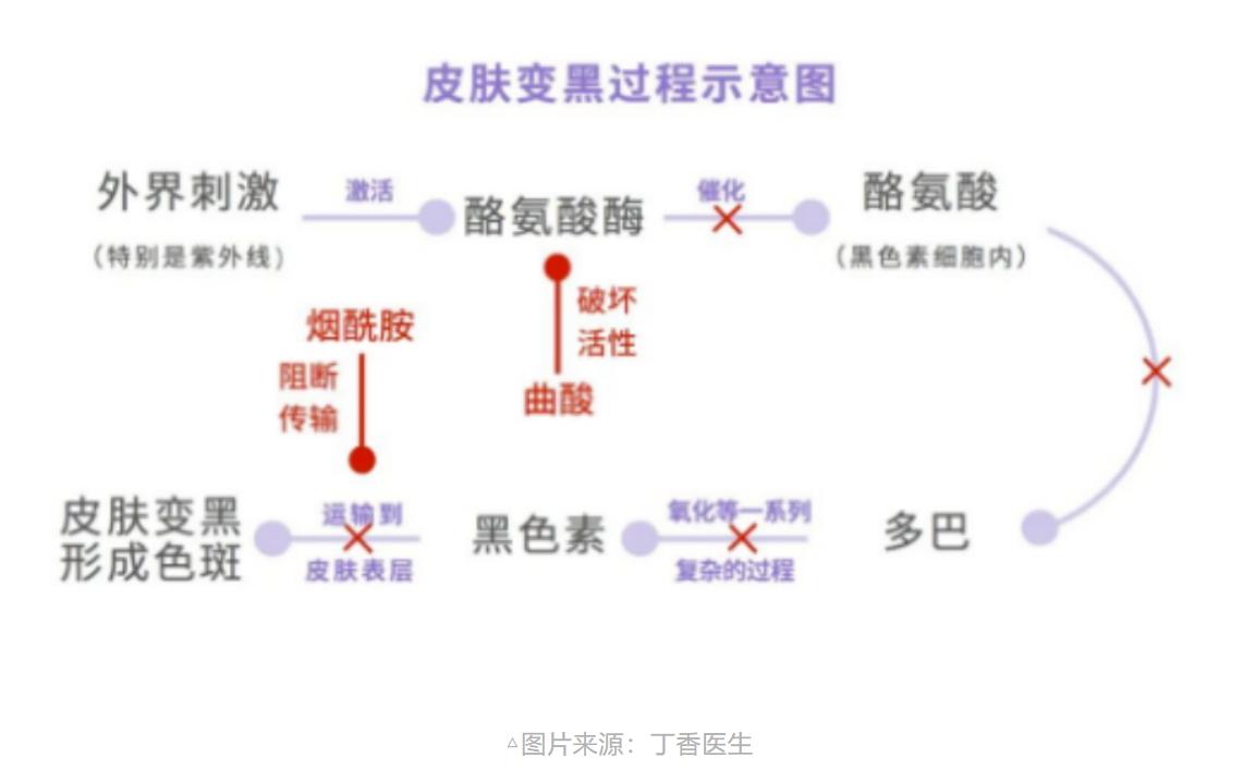 晒黑的皮肤吃什么药,晒黑的皮肤用什么擦才能白过来的