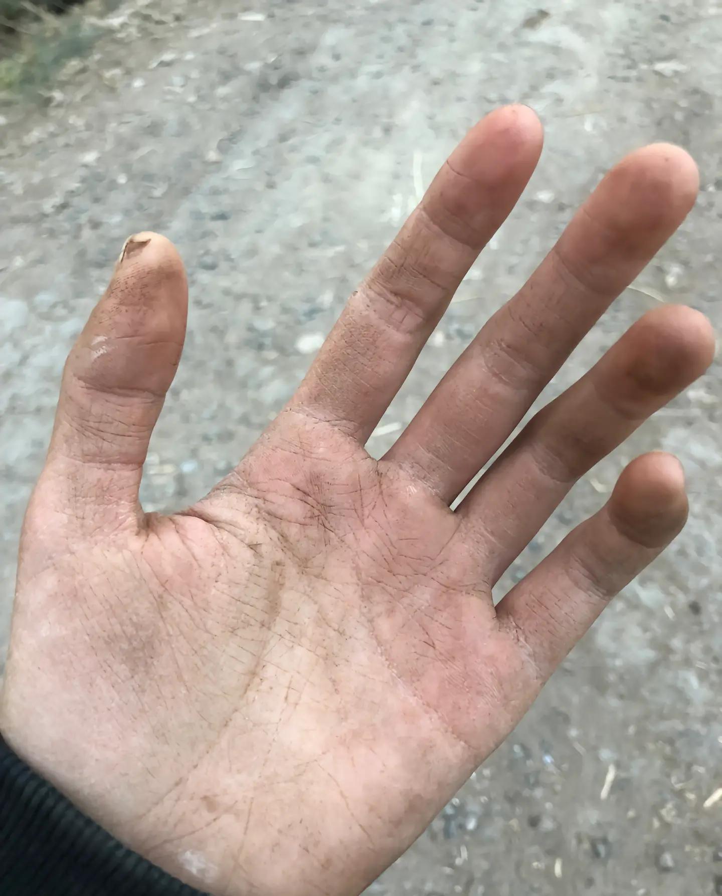 网红灰太狼的羊丈夫发声,网红灰太狼的羊女孩自曝被家暴