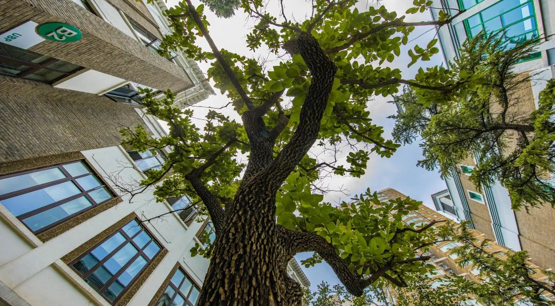 打卡500强喜爱的北京宝藏园区