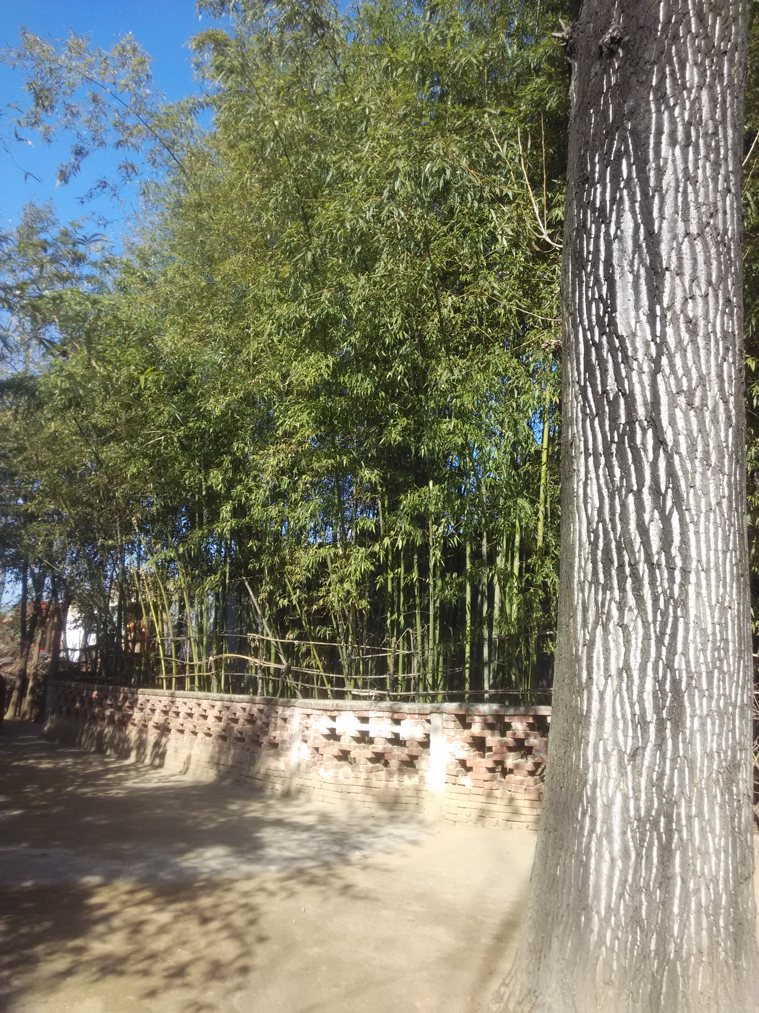 绿色城堡,绿色的城堡壁纸