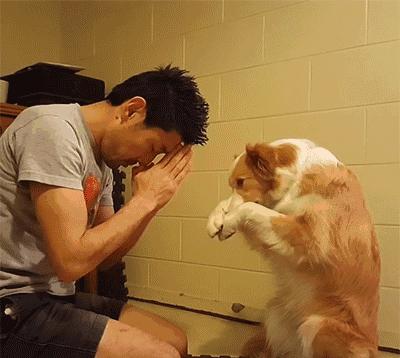 狗狗意外获得超能力从此走向巅峰,狗狗意外获得五环拥有了超能力