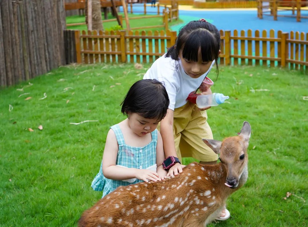 此心安处是吾乡开发后续,此心安处是吾乡福州取景