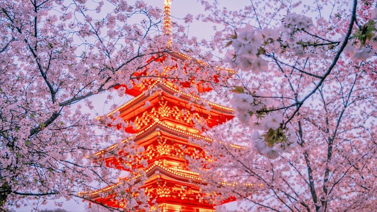 哈工大西交北理工怎么选,北理工武大华科大怎么选