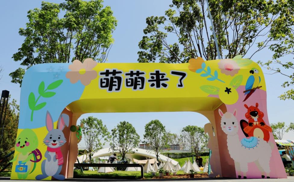 第八届潮玩,潮玩最火产品