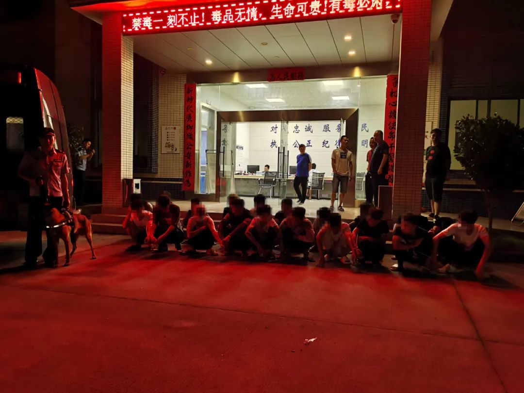 百日行动赌博抓捕现场,百日行动夏季治安打击整治活动