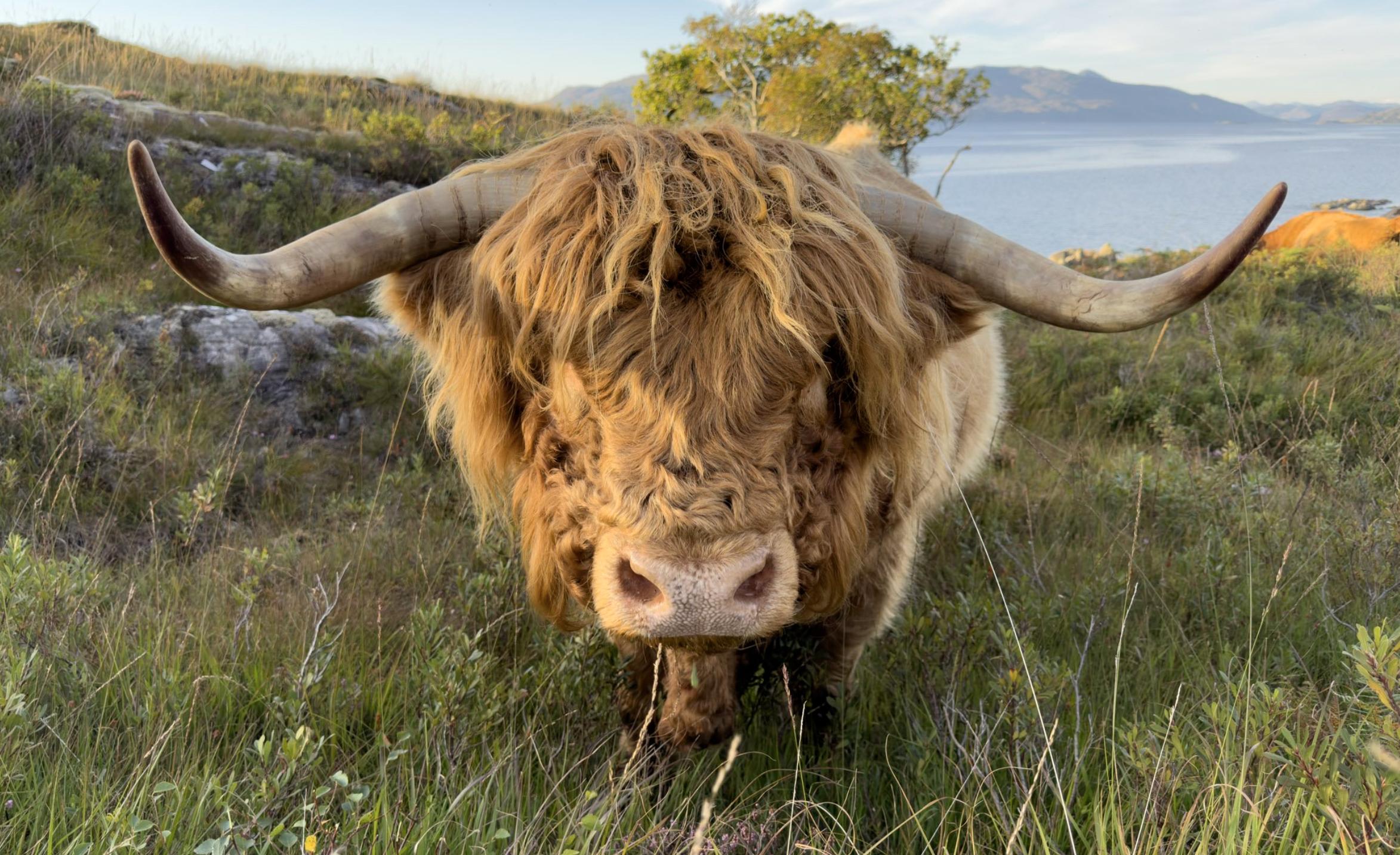 iphone14pro拍照清晰度对比,iphone14pro怎么拍摄好看