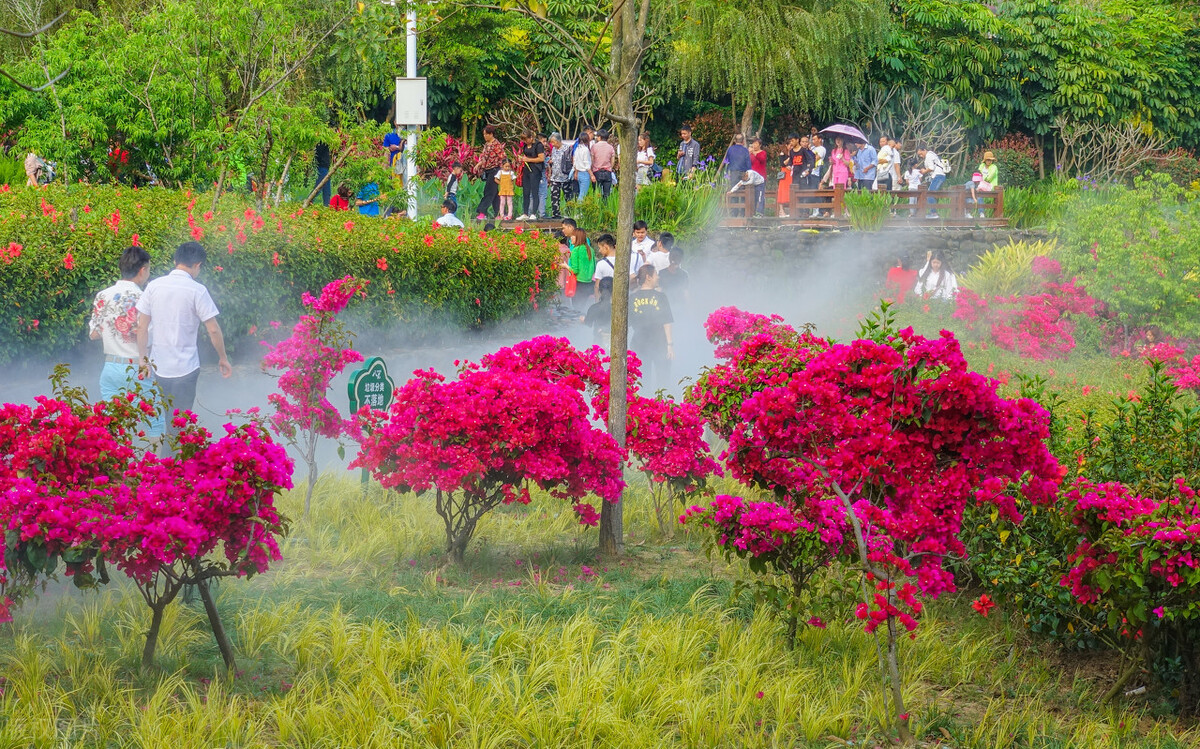 厦门旅游攻略必逛景点推荐,厦门攻略必逛景点一日游
