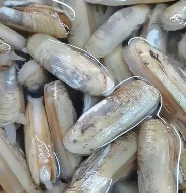 丹东附近的避暑好地方,丹东出去避暑自驾游3-4天最佳路线