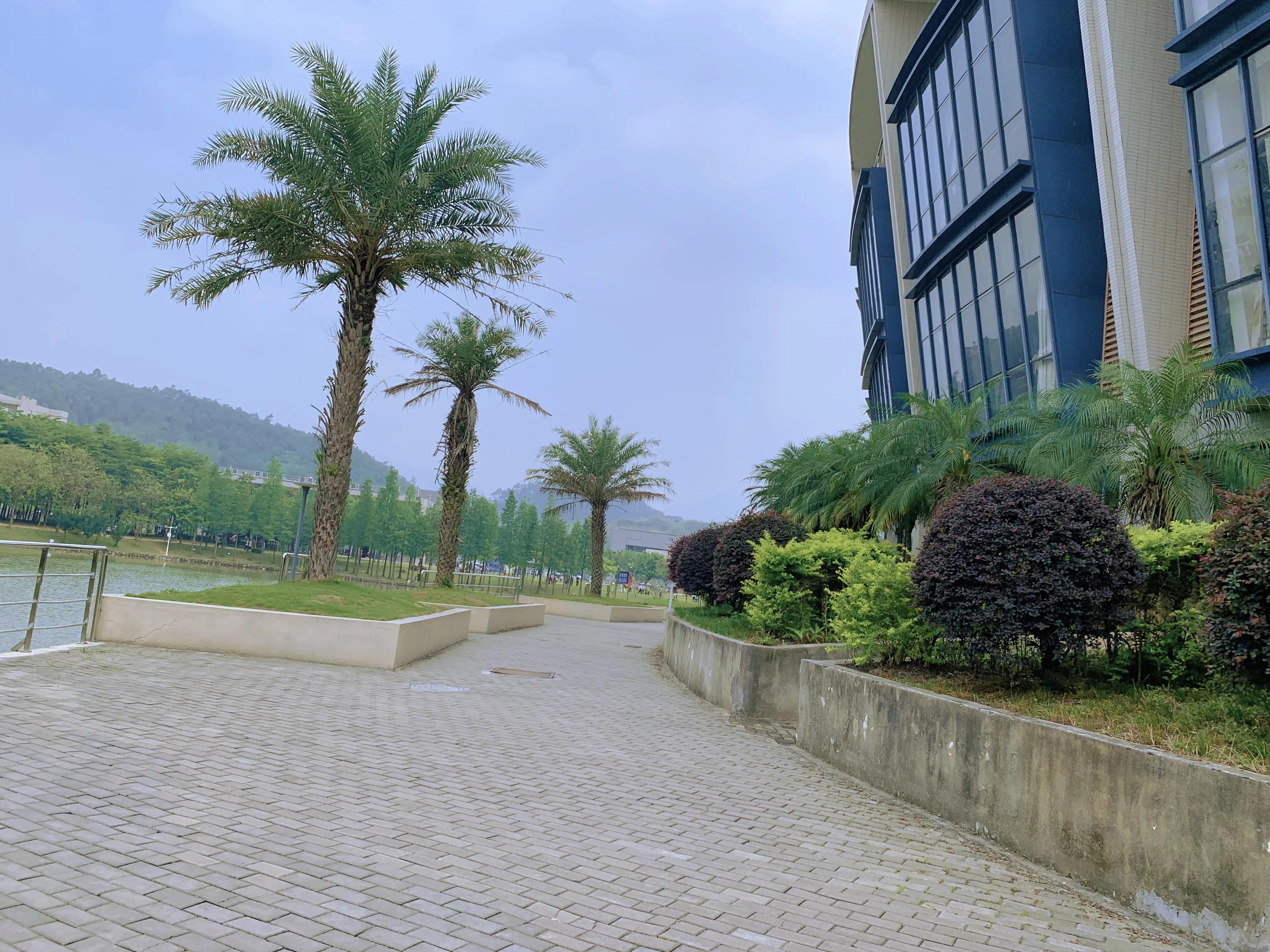 清远南华学校理发,南华工商职业学院清远校区