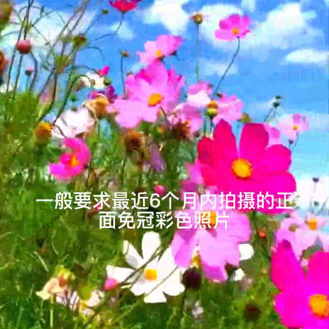 办理签证都需要存款证明吗,办理签证需要提供的资料