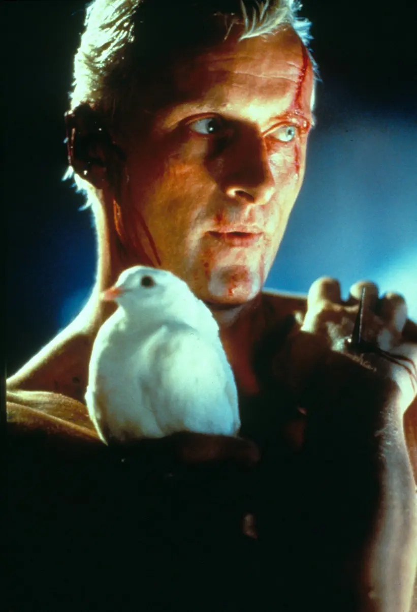 和复制人相爱或发现自己是一个复制人，意味着什么：《银翼杀手》