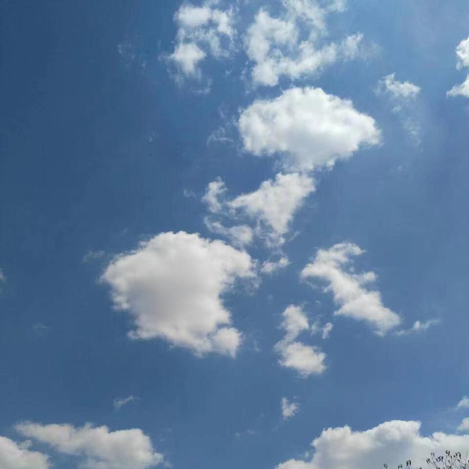 花洲诗苑/众友合辑第31期深切悼念邓州才女耿秀丽*白云朵朵专刊