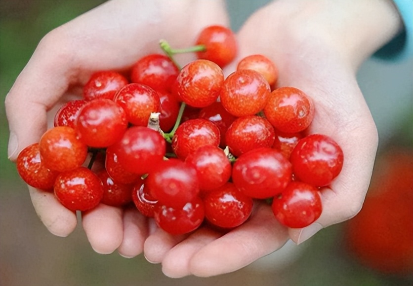 消费复苏五一出行 (五一出行消费趋势)
