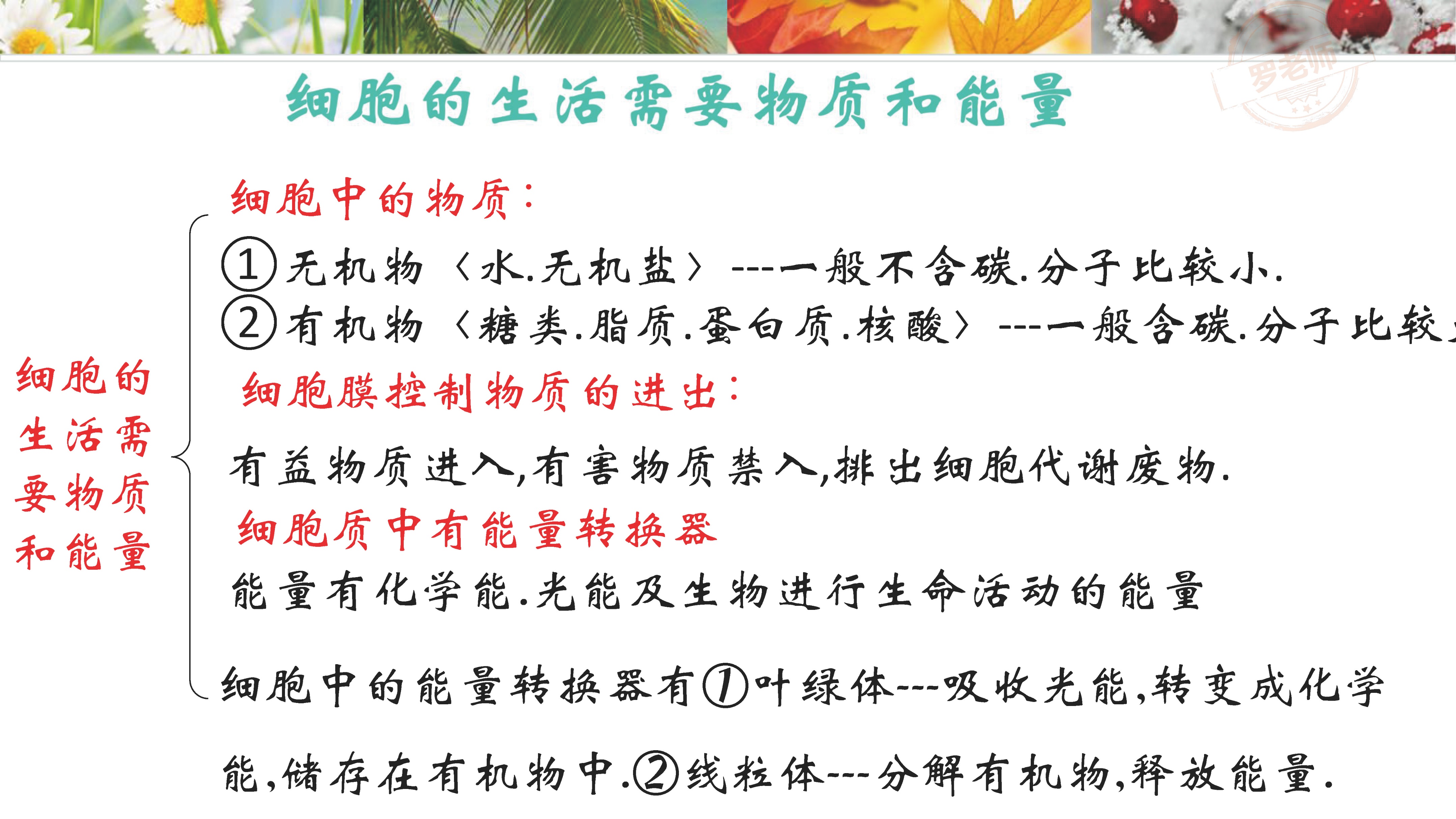 小升初一到六年级复习资料,小升初所有课本