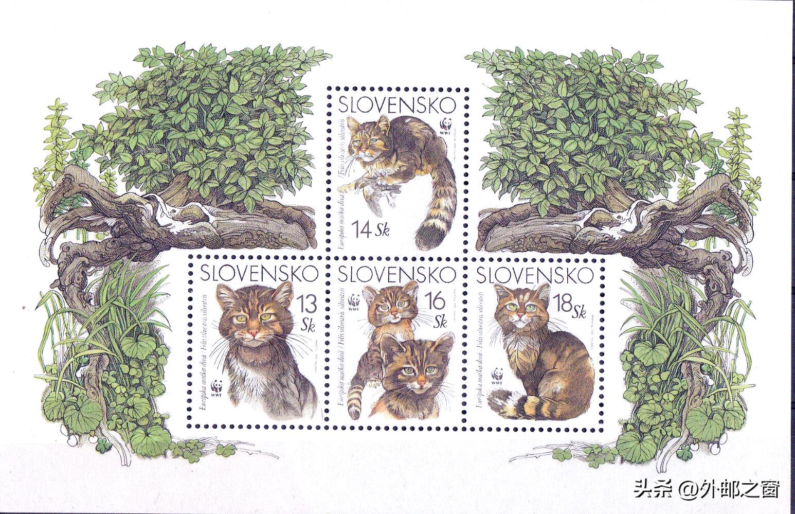 听说过吗?这些猫为邮局打工,还发工资!