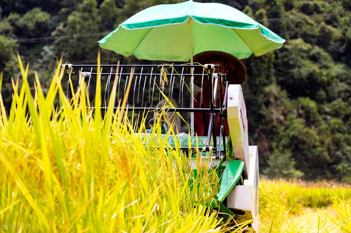 二手久保田水稻联合收割机,最好的水稻收割机久保田