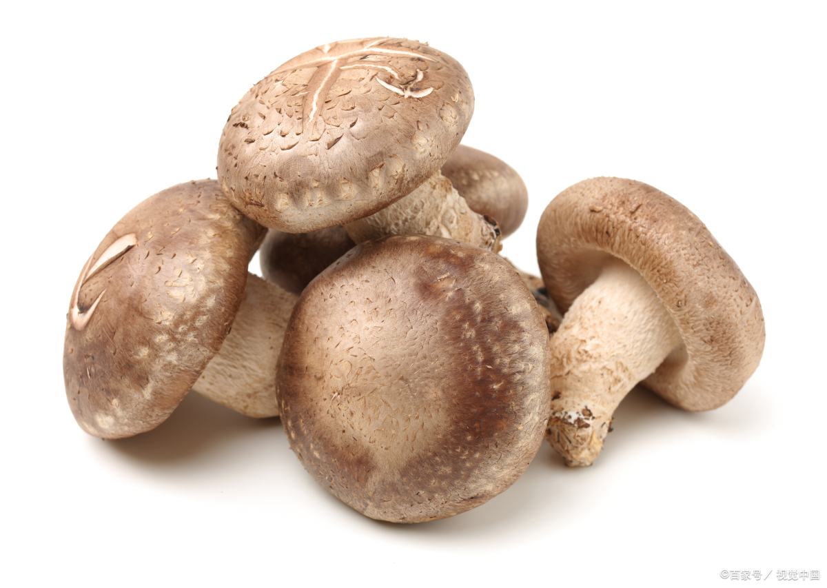 冬月吃什么食物养生,冬天吃五种碱性食物对身体好