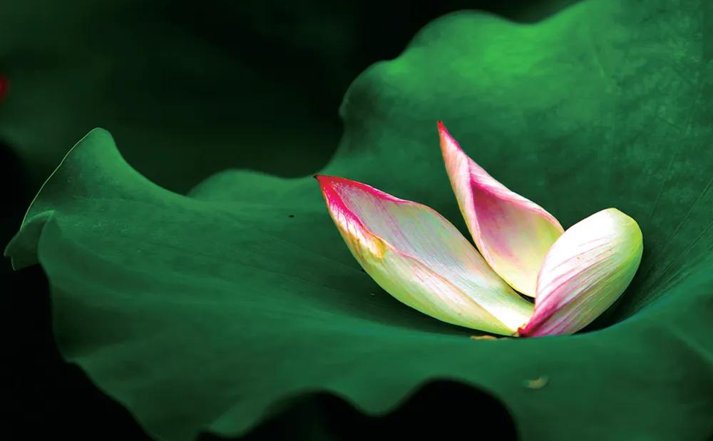 教你开美食小吃店,如何开餐饮外卖小店