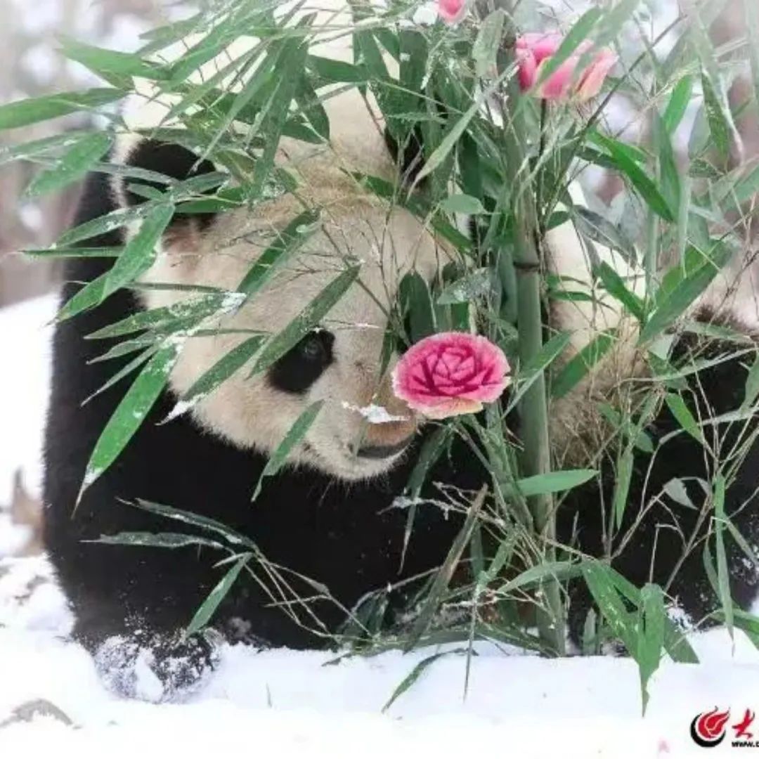 济南遛娃嗨玩这里享优惠,济南遛娃乐园周末